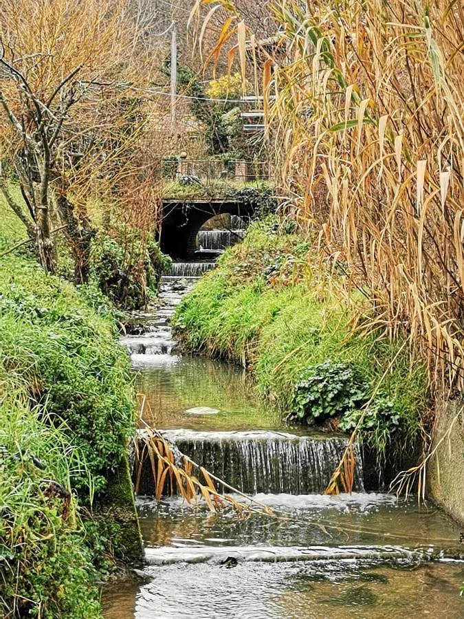 Molino Del Prato Διαμέρισμα Βολτέρρα Ιταλία